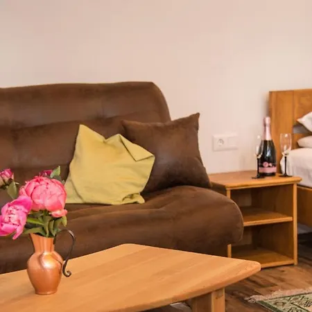 Valery House Ubytování v soukromí Sura Mica